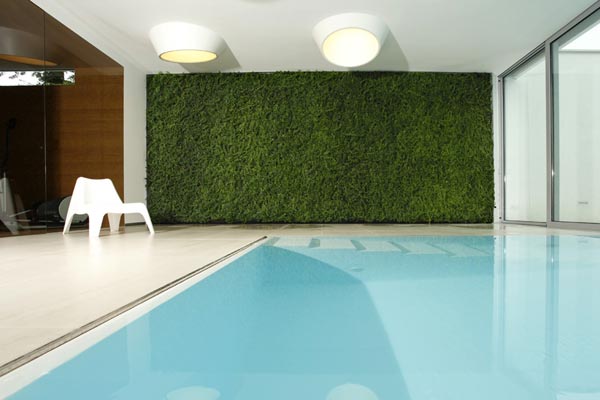 Grüne Wand Schwimmbad